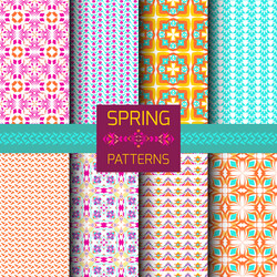 Geometric Spring Patterns vector image