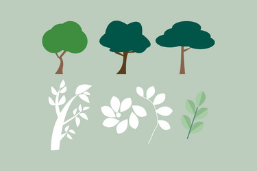 tree leaf and part of the plant design vector image