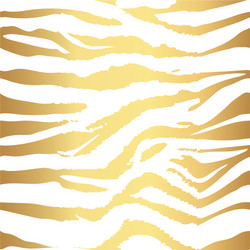 background pattern texture tiger and zebra strip vector image