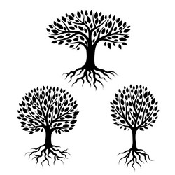 Tree roots Royalty Free Vector Image - VectorStock