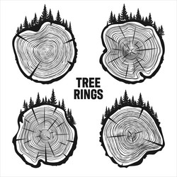 round tree trunk cuts with trees and forest sawn vector image