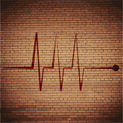 heart rhythm flat modern web button and space vector image