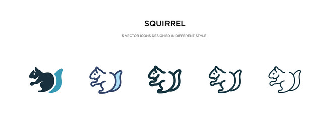 squirrel icon in different style two colored vector