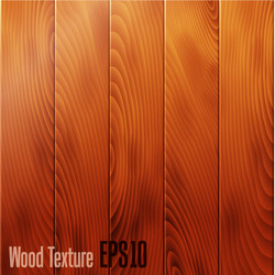 Realistic wood texture background vector