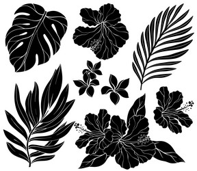 set of silhouette hibiscus palm leaves Vector Image