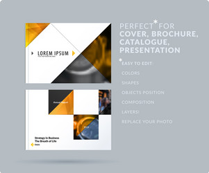 triangular design presentation template vector image
