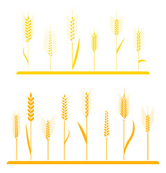 Wheat Field Icon Set vector image