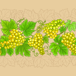 Grapes branches horizontal pattern vector