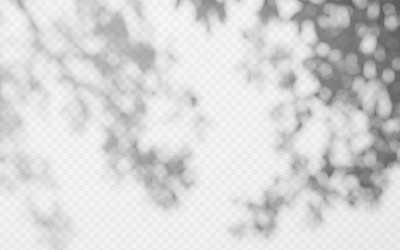 abstract shadow overlay from tree branch vector image