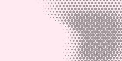 geometric abstract hexagon two color background vector image
