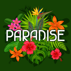 background with stylized tropical plants leaves vector image