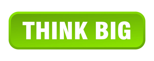 think big button square 3d push vector image