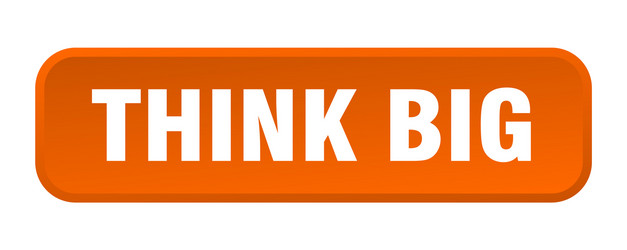 think big button square 3d push vector image
