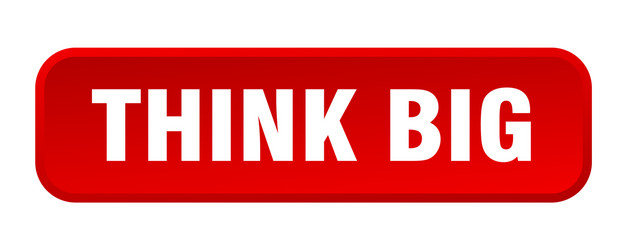 think big button square 3d push vector image