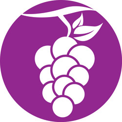 grape logo template icon vector