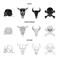 isolated object skeleton and character logo vector image
