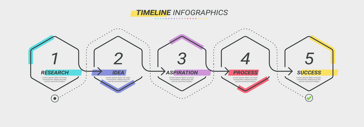 Thin line infographic template with 5 steps vector