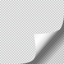 page curl with shadow on blank sheet of paper vector image