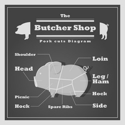 pork cuts diagram butcher shop background vector