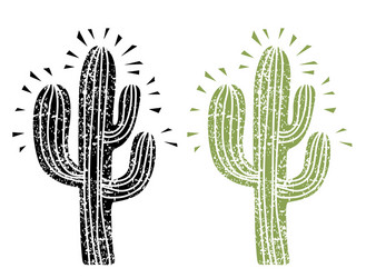 cactus silhouette grunge on old paper vector