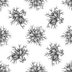 Nigella sativa cumin black cartoon Royalty Free Vector Image