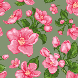 apple tree flower seamless pattern 1 Vector Image