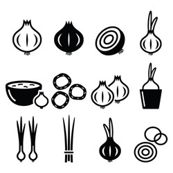 Spring Onion & Onion Icons vector image