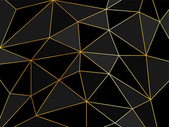 dark background with gold lines net vector image