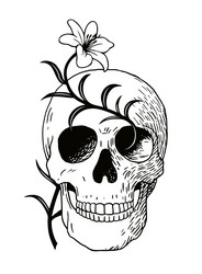 Vintage Skull with Lily Vector Image
