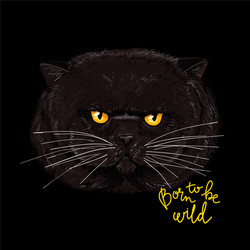 Grumpy Fat Cat Portrait vector image