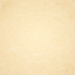 Grunge Paper Background Vector Image