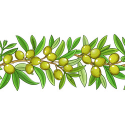 olive branches pattern on color background vector image