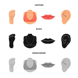 body and part symbol set vector image