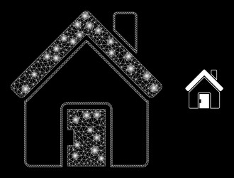mesh net home with magic network spots vector image