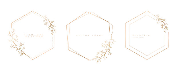set of hexagon frame templates in minimal linear vector image