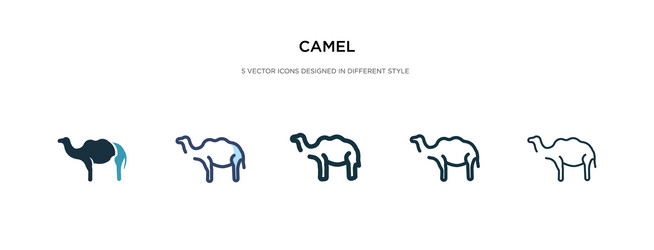 Camel icon in different style two colored vector