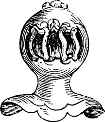 grated helmet direct front view of the vector image