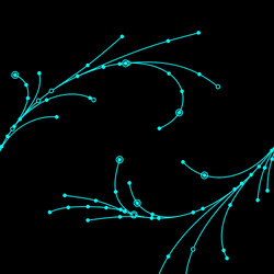 wire grid feathers made of connected dots vector image