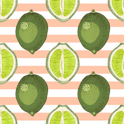 seamless pattern with hand drawn lime branches vector image