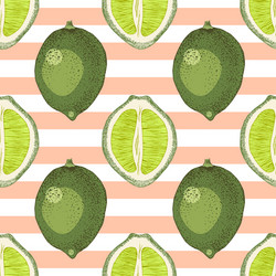 seamless pattern with hand drawn lime branches vector