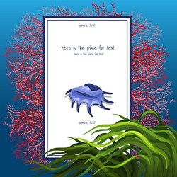 texture of seashell with algue and vertical card vector image