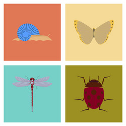 assembly flat bug snail butterfly dragonfly vector image