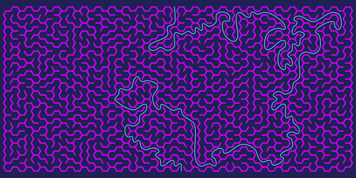 hexagonal maze in form of rectangle with solution vector image