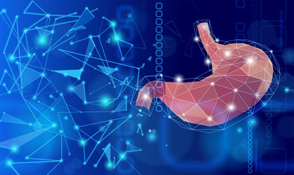 Stomach showing connections using lines vector