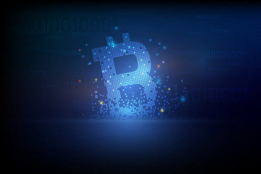 digital bitcoin crypto currency background vector image