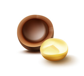macadamia nut with shell vector image