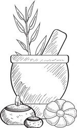 sketch spa objects vector image