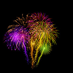 Firework vector