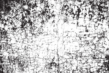 Grunge Texture Overlay Vector Image