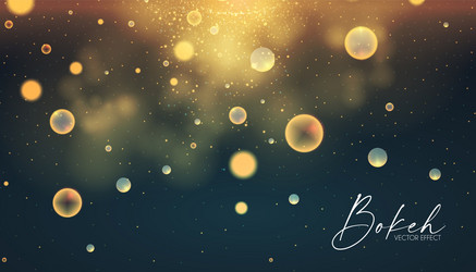 soft bokeh elegant light effect fluid vector image